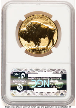 2013-W Reverse Proof Gold Buffalo 1 oz ER Bison Label NGC PF70 (521756029)