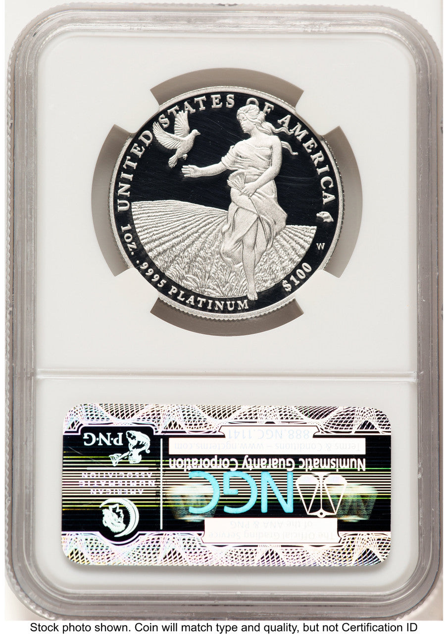 2011-W Proof Platinum Eagle 1 oz Brown Label NGC PF70