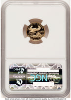 2004-W Proof Gold Eagle 1/10 oz Brown Label NGC PF70 (522240249)