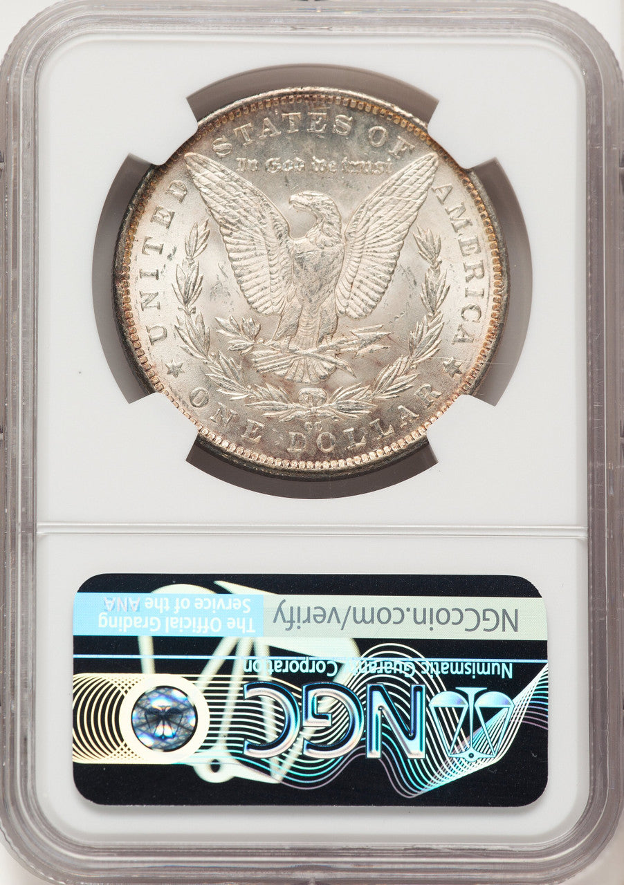 1891-CCVAM-3 Spitting Eagle Morgan Dollar NGC MS64 (522479019)