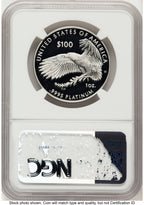 2023-W Proof Platinum Eagle 1 oz Brown Label NGC PF70