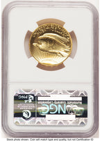 2009 G$20 Ultra High Relief Saint Gaudens Label NGC MS70