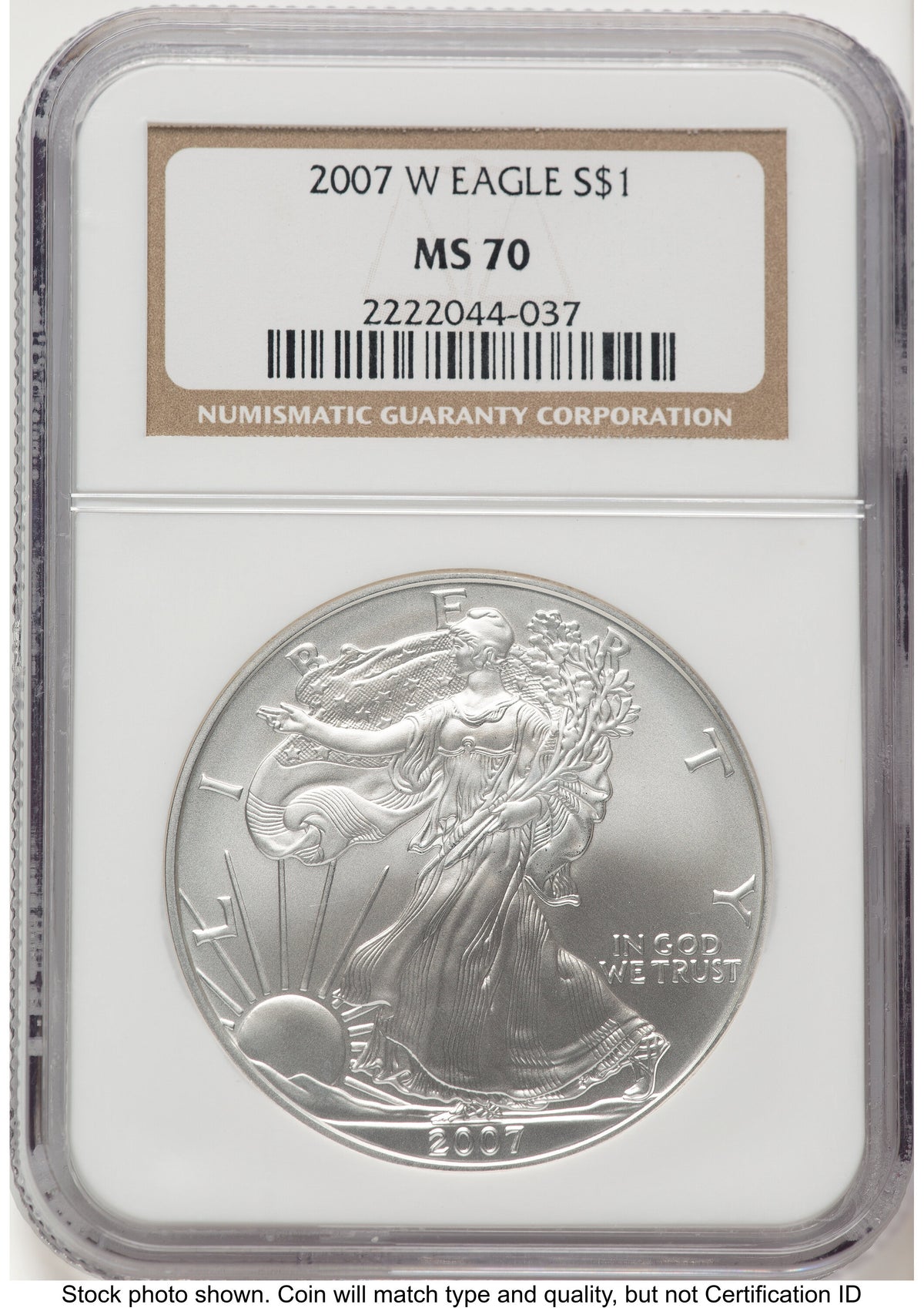 2007-W Burnished Silver Eagle 1 oz Brown Label NGC MS70