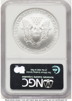 2007-W Burnished Silver Eagle 1 oz Brown Label NGC MS70