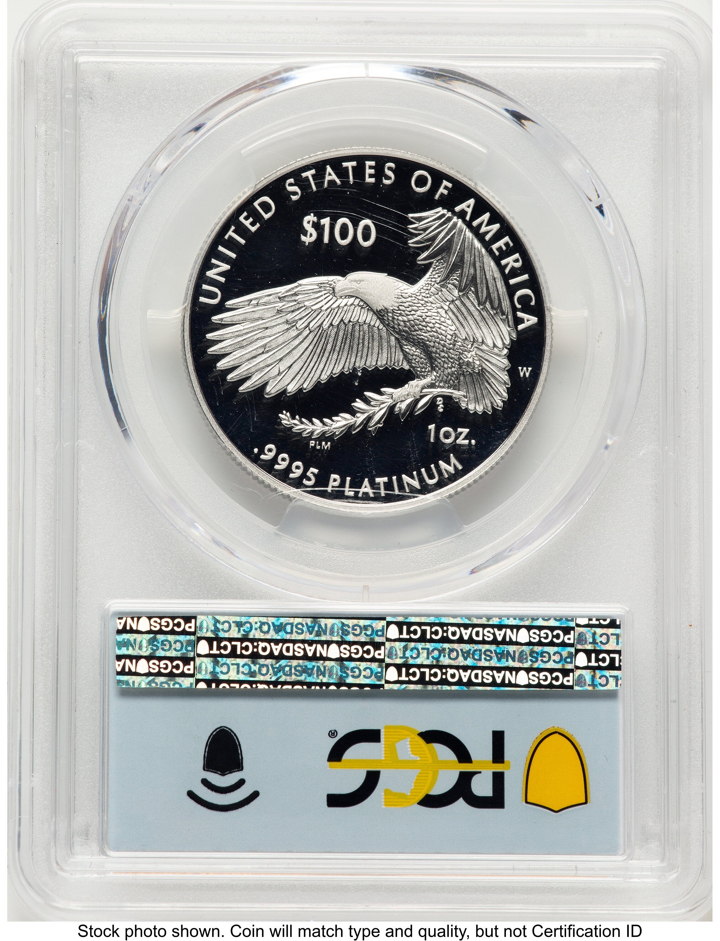 2022-W Proof Platinum Eagle 1 oz FDI Flag PCGS PR70 | LCR Coin