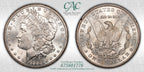 1884-CC $1 GSA Treasure Hoard Morgan Dollar CACG MS62 (675601776)