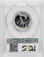 2007-W Reverse Proof Platinum Eagle 1/2 oz Blue Gradient PCGS PR70