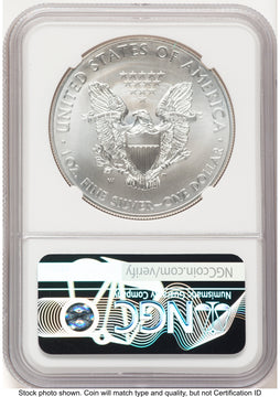2014-W Burnished Silver Eagle 1 oz Mike Castle NGC MS70