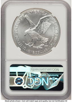 2023-(W) Silver Eagle FDI X-Label NGCX MS10
