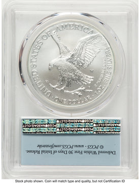 2022-W Burnished Silver Eagle 1 oz FS Flag PCGS MS70