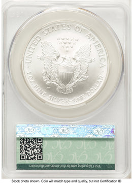 2008-W Reverse of 2007 Burnished Silver Eagle 1 oz Ron Drzewucki CACG MS70