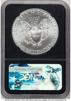 2017 Silver Eagle FDI NGC MS70 Ed Moy