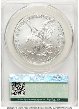 2024-W Burnished Silver Eagle 1 oz First Delivery Magnum Opus CACG MS70
