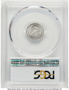 2007-W Burnished Platinum Eagle 1/10 oz Blue Gradient PCGS MS70