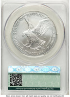 2024-W Burnished Silver Eagle 1 oz First Day Of Delivery CACG MS70