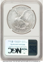 2024-W Burnished Silver Eagle 1 oz Mike Castle NGC MS70