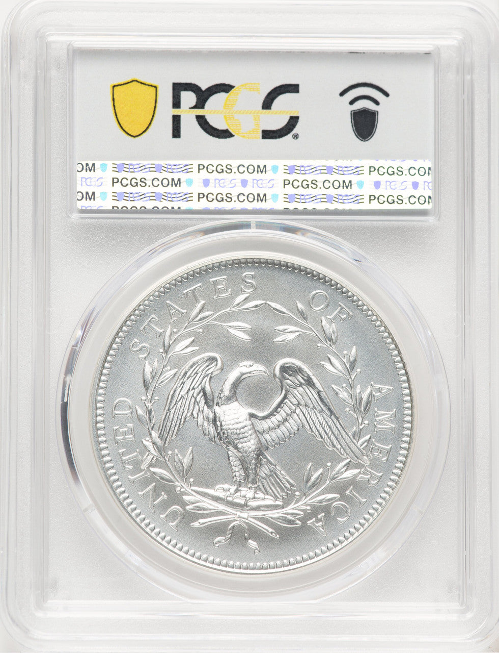 2024-(P) Silver 230th Anniversary Flowing Hair Medal AR Flowing Hair Label Modern Commemoratives PCGS MS70