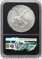 2023-W Burnished Silver Eagle 1 oz FDI Anna Cabral NGC MS70