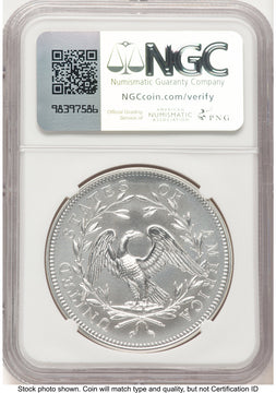 2024-(P) Silver 230th Anniversary Flowing Hair Medal Privy Mark FDI Mike Castle Modern Commemoratives NGC MS70