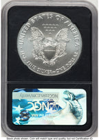 2017 Silver Eagle ER NGC MS70 Ed Moy