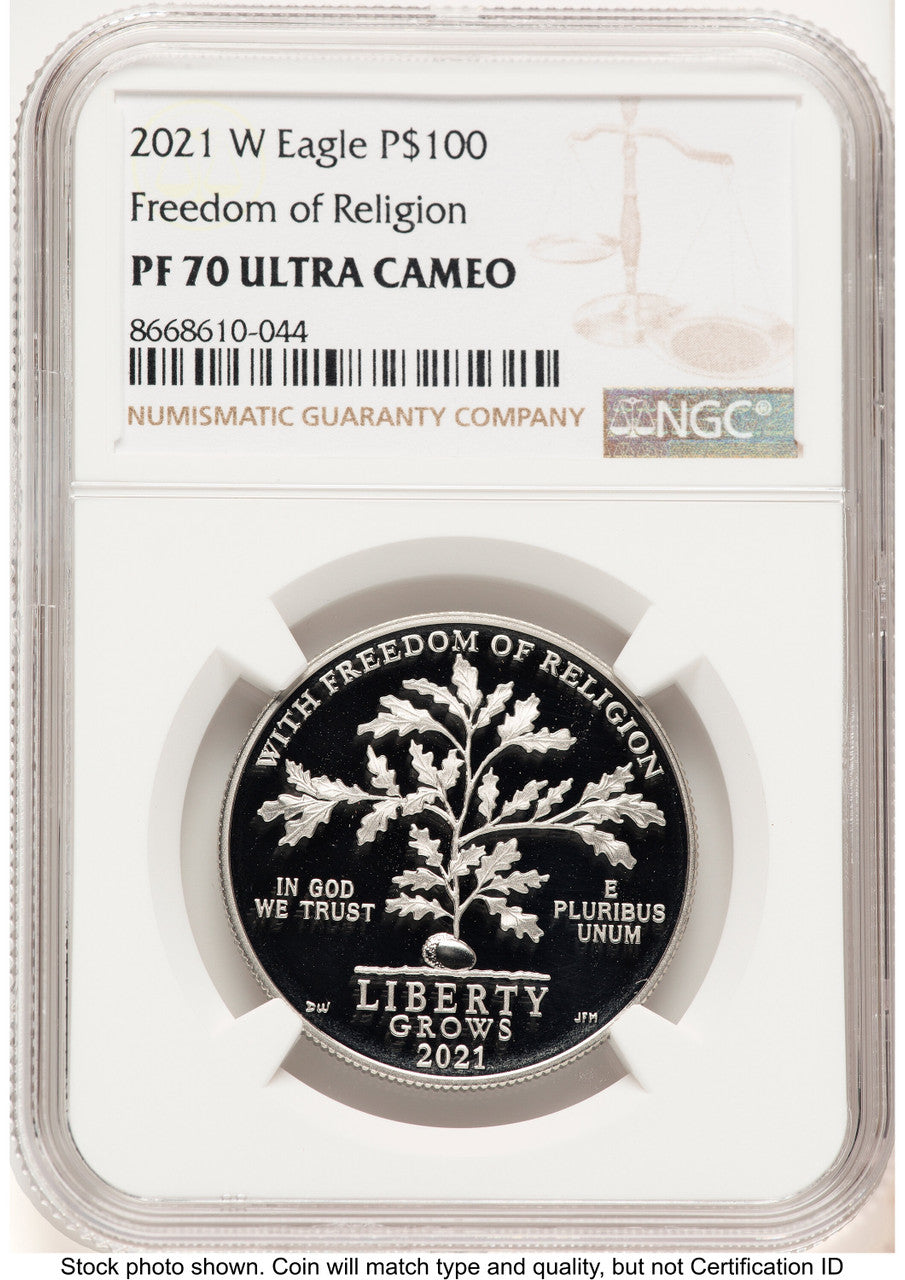 2021-W Proof Platinum Eagle 1 oz Brown Label NGC PF70 (774692109)