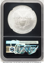 2008-W Burnished Silver Eagle 1 oz Silver Eagle Label NGC MS70