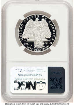 2008-W Proof Platinum Eagle 1 oz Brown Label NGC PF70
