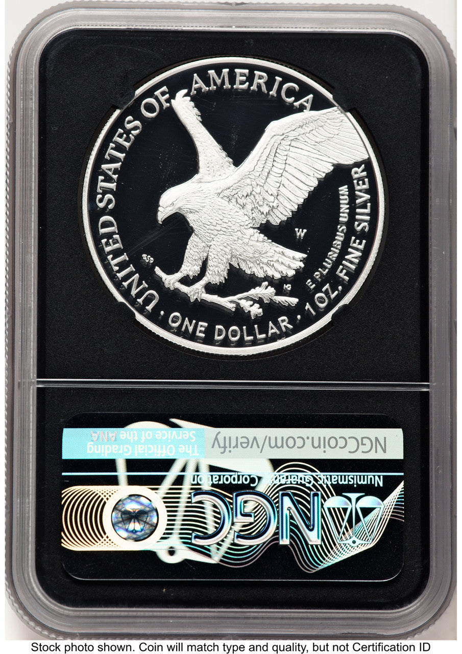 2021-W TY2 Proof Silver Eagle 1 oz FDI Michael Gaudioso Eagle Flag NGC PF70