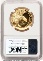2019-W G$100 American Liberty High Relief Enhanced UC Red Book NGC MS70 (776793002)