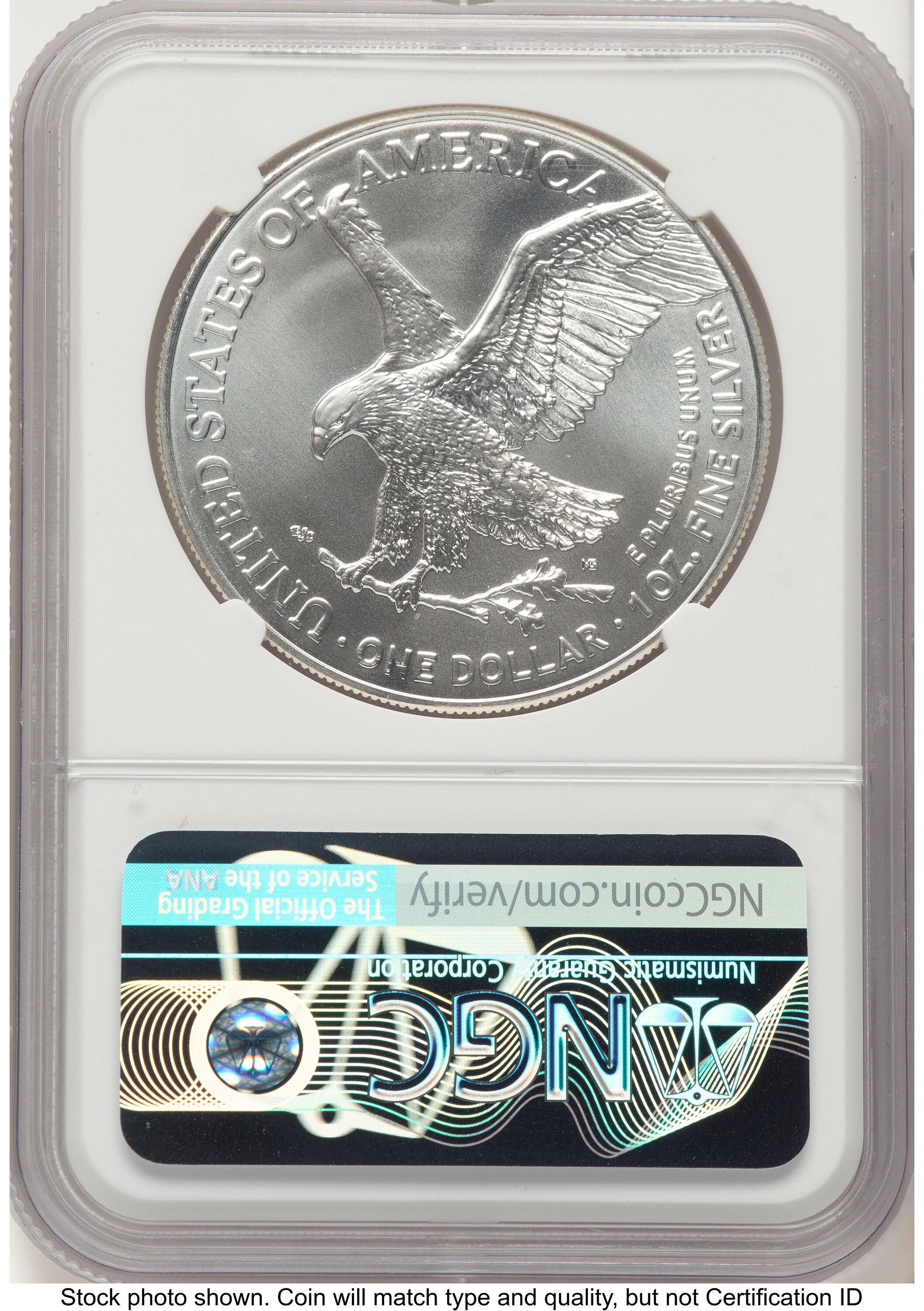2021 Silver Eagle Type 2 FR Michael Gaudioso Eagle Art NGC MS70