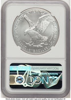 2023 Silver Eagle FDI Michael Gaudioso Eagle Art NGC MS70