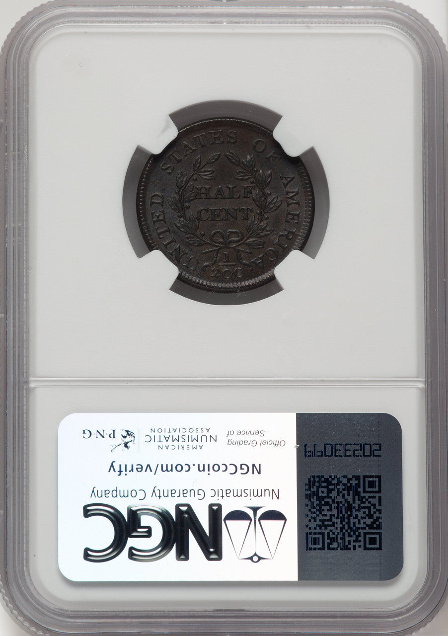 1804 1/2 C Plain 4 No Stems BN Brown Label Half Cent NGC MS65