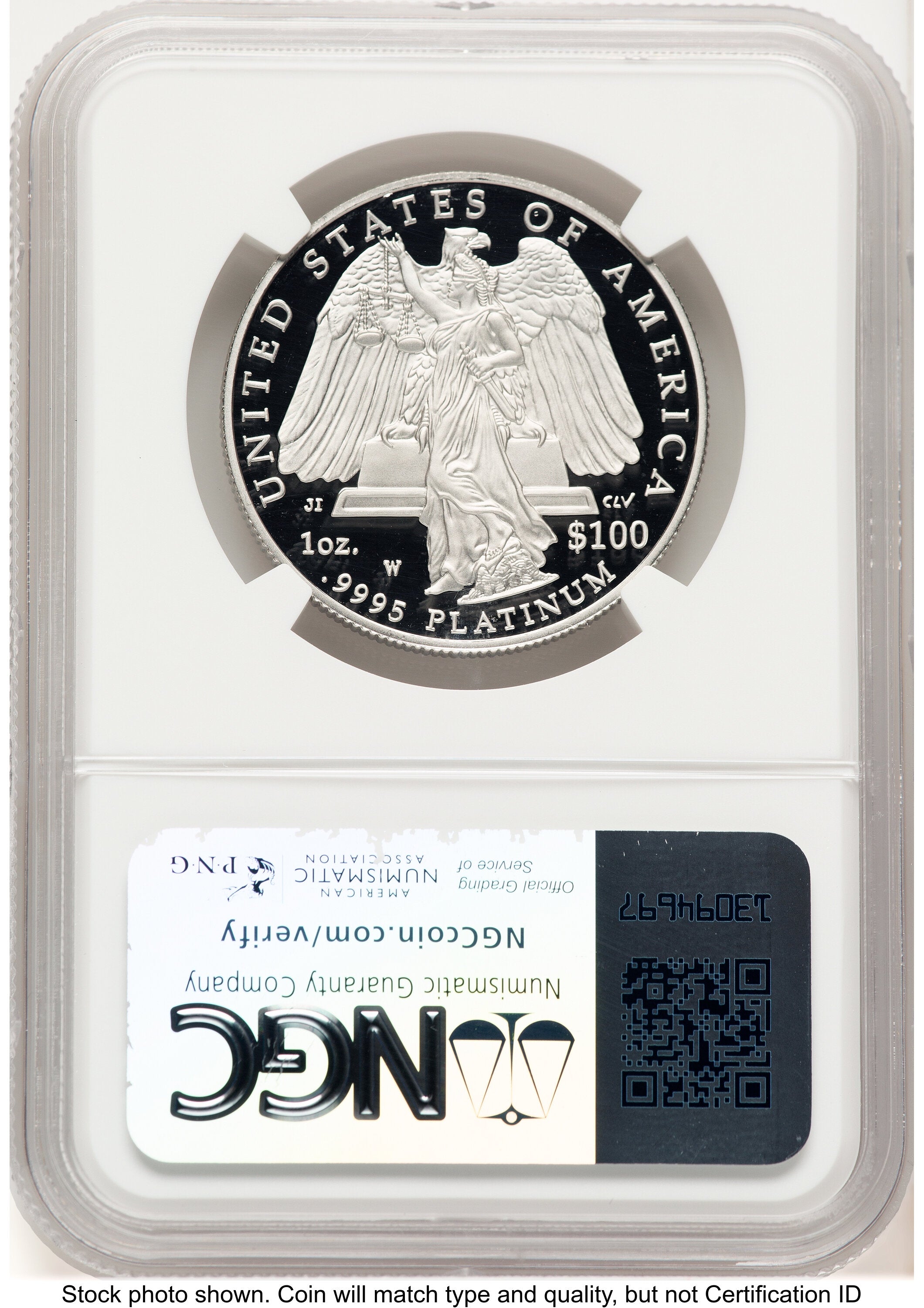 2008-W Proof Platinum Eagle 1 oz Brown Label NGC PF70