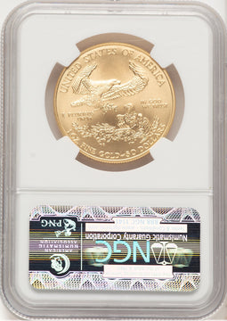 2008-W Burnished Gold Eagle 1 oz Brown Label NGC MS70