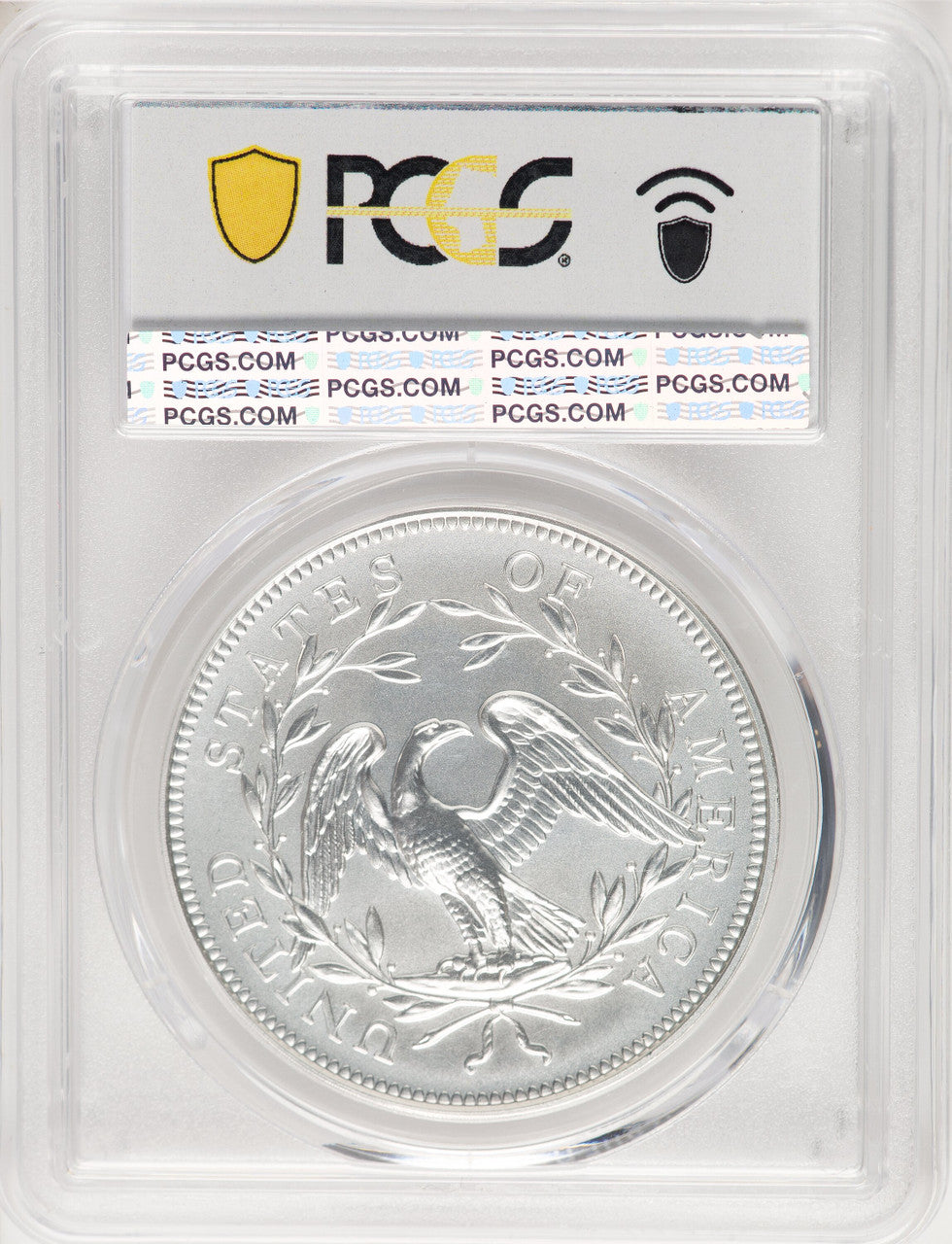 2024-(P) Silver 230th Anniversary Flowing Hair Medal PCGS MS70