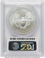 2013-W Burnished Silver Eagle 1 oz FS Eagle Flag Label PCGS MS70