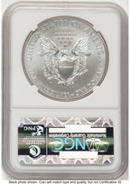 2013-W Burnished Silver Eagle 1 oz ER Blue NGC MS70