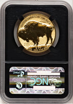 2013-W Reverse Proof Gold Buffalo 1 oz ER Bison Label NGC MS70