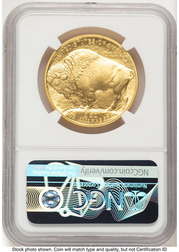 2008-W Burnished Gold Buffalo 1 oz Mike Castle NGC MS70