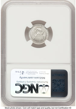 2007-W Burnished Platinum Eagle 1.85 oz 1.85 oz Brown Label NGC MS70