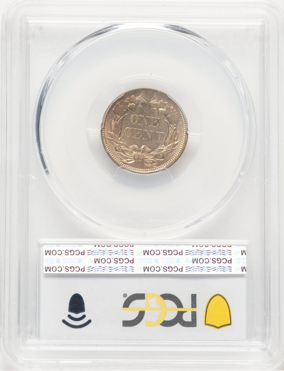 1857 1C Obverse Die Clash With 50C Flying Eagle Cent PCGS MS64