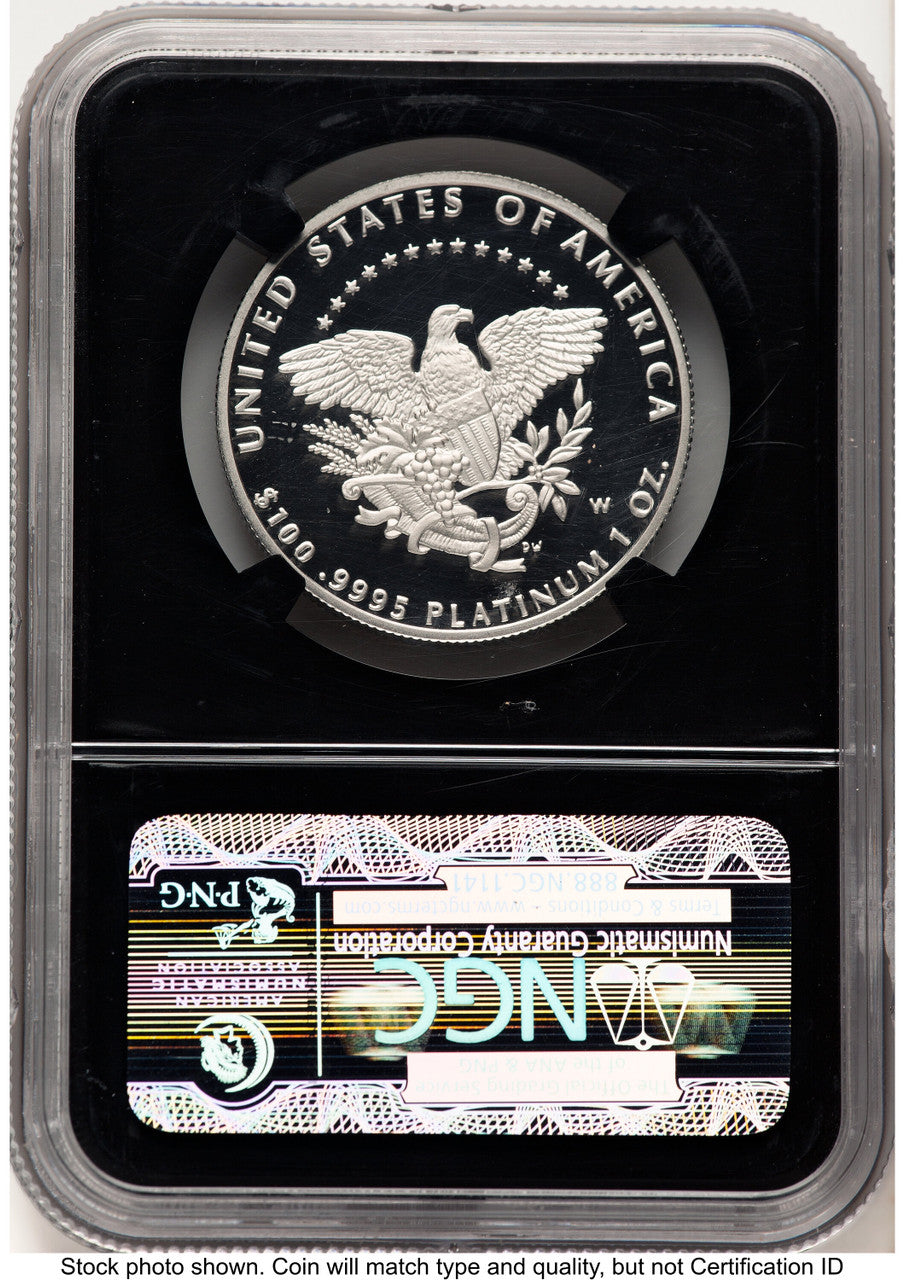 2005-W Proof Platinum Eagle 1 oz American Liberty Series Label NGC PF70