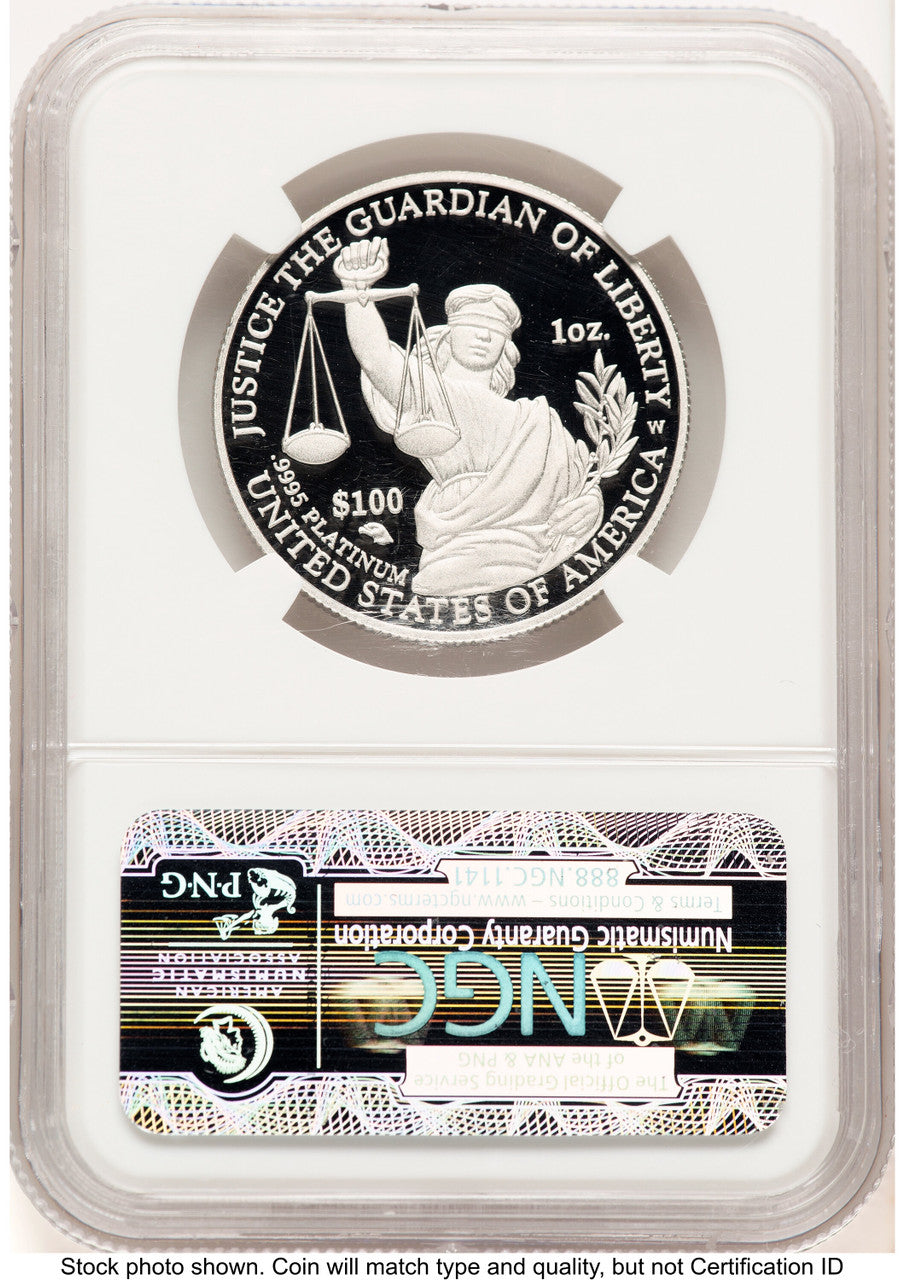 2010-W Proof Platinum Eagle 1 oz Brown Label NGC PF70
