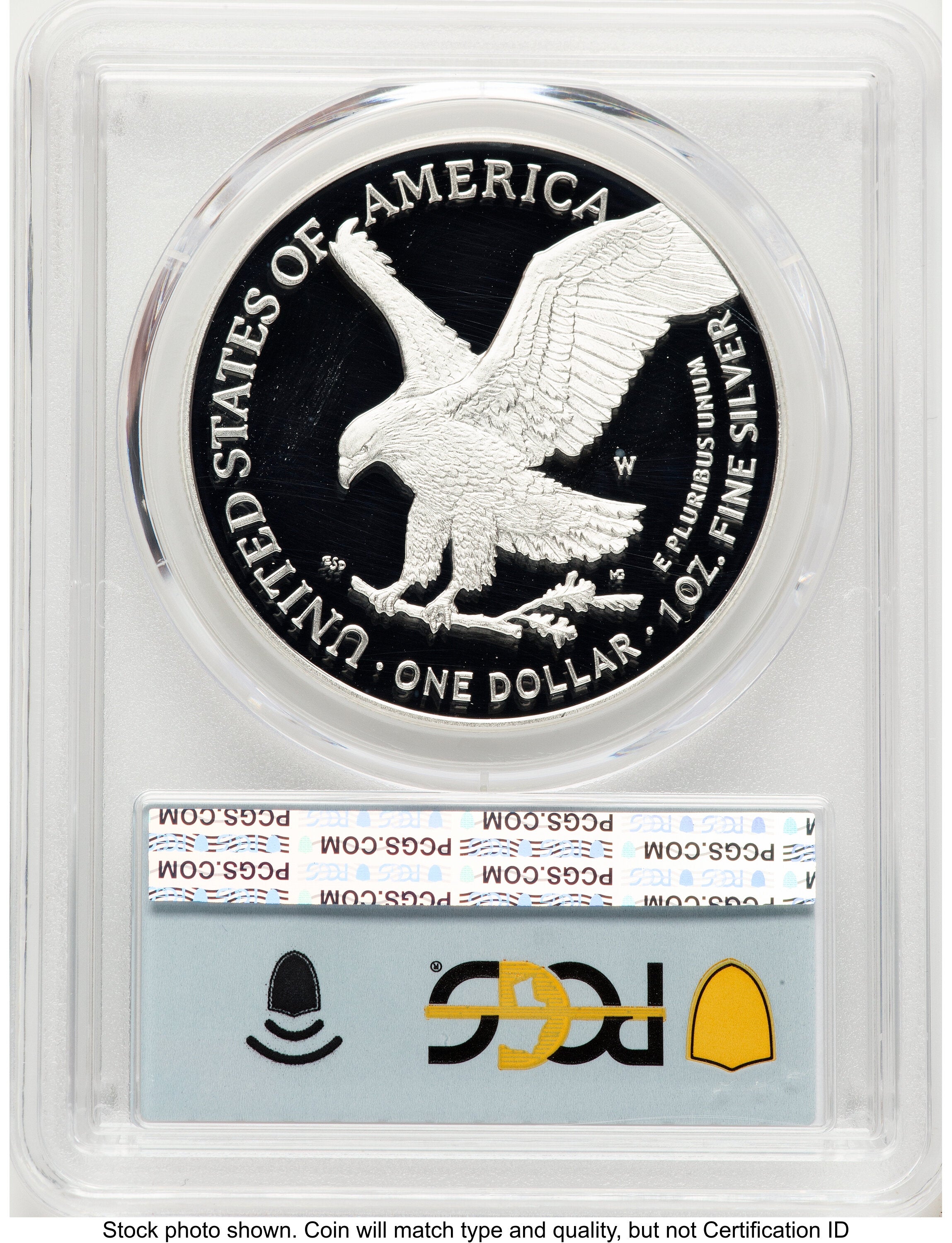 2025-W Proof Silver Eagle Privy Laser Engraved 1 oz FDI Flag PCGS