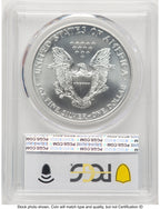 1999 Silver Eagle Blue Gradient PCGS MS70