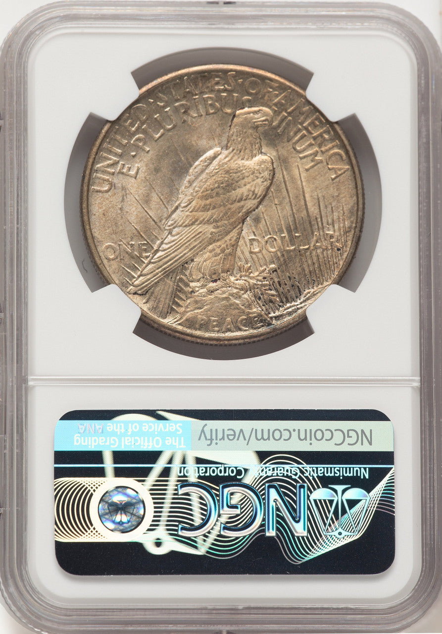 1921 Peace Peace Dollar NGC MS65+ (780586002)