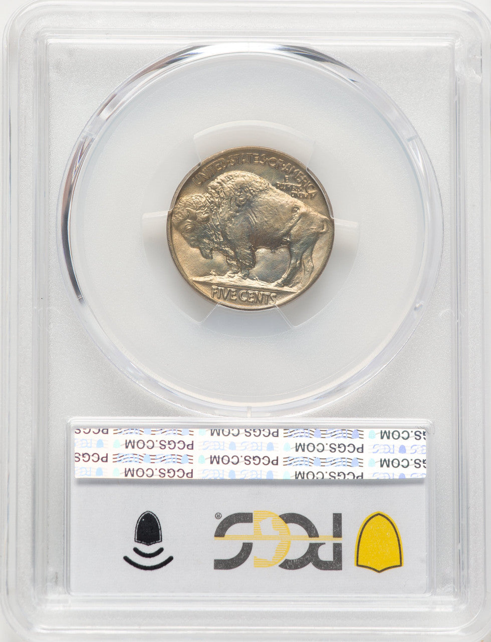 1919 5C Buffalo Nickel PCGS MS67