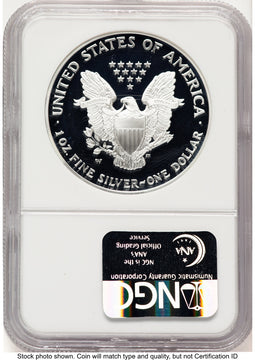 2004-W Proof Silver Eagle 1 oz Brown Label NGC PF70
