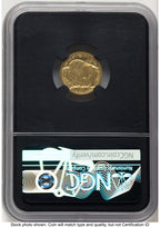 2008-W Burnished Gold Buffalo 1/10 oz X-Label NGCX MS10