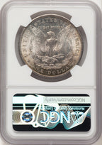 1904 Morgan Dollar NGC MS64 (781774029)